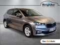 Skoda Fabia Selection Grau - thumbnail 1