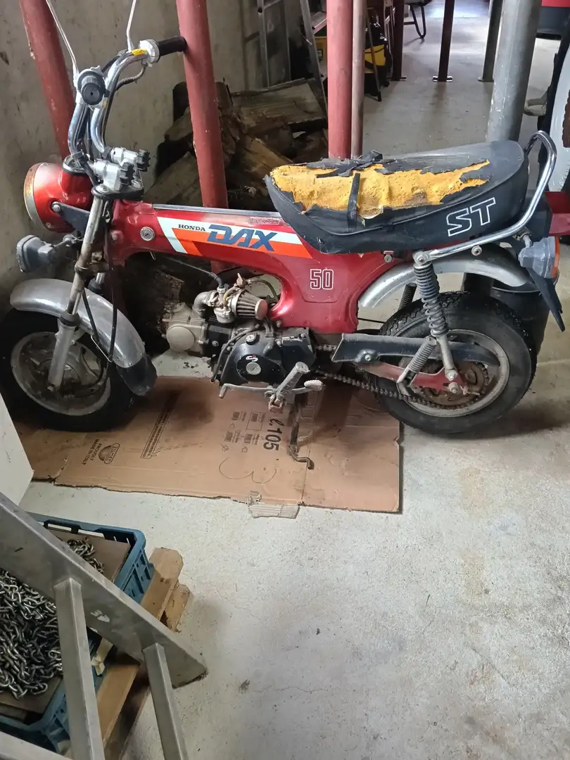 Honda Dax ST 50 - 2