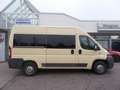 Fiat Ducato 33 130 L2H2 Kombi 6 Sitzer AHK MIXTO Beige - thumbnail 4