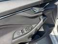 Skoda Scala Scala Ambition 1,0 TSI 81 KW 7-speed automat. Grigio - thumbnail 14