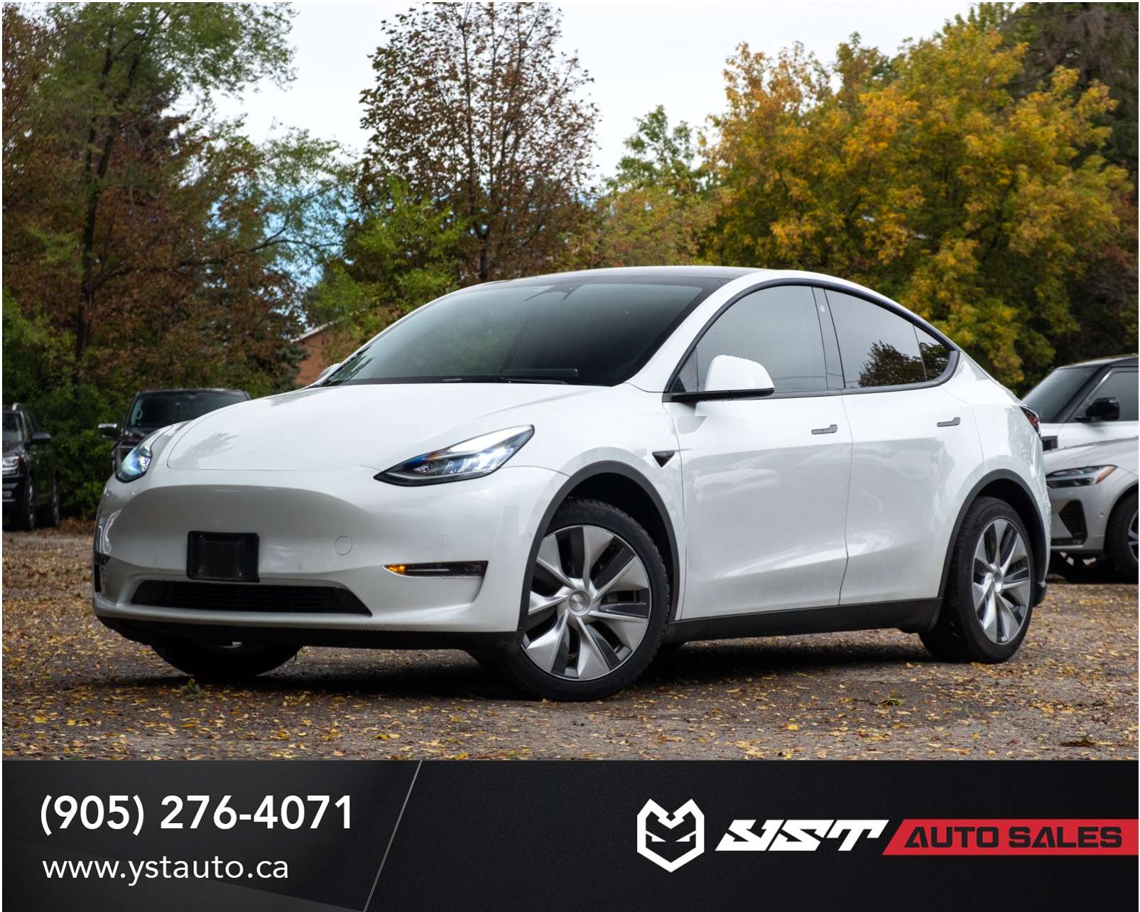 White 2021 Tesla Model Y SUV / Crossover All-Wheel Drive 1-Speed Automatic
