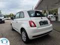 Fiat 500 FIAT 500 1.0 70 PK MHEV HYBRIDE S&S CULT Blanc - thumbnail 11