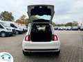 Fiat 500 FIAT 500 1.0 70 PK MHEV HYBRIDE S&S CULT Blanc - thumbnail 13