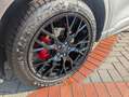 Ford Kuga Plug-In Hybrid ST-Line X AHK Panoramadach Grau - thumbnail 21