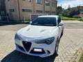 Alfa Romeo Stelvio Stelvio 2.2 t Sport Edition Q4 210cv auto bijela - thumbnail 10