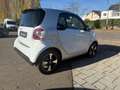 smart forTwo EQ*Exclusive*Panorama*Kamera*LED*Ambiente* Weiß - thumbnail 9