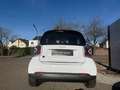 smart forTwo EQ*Exclusive*Panorama*Kamera*LED*Ambiente* Weiß - thumbnail 16