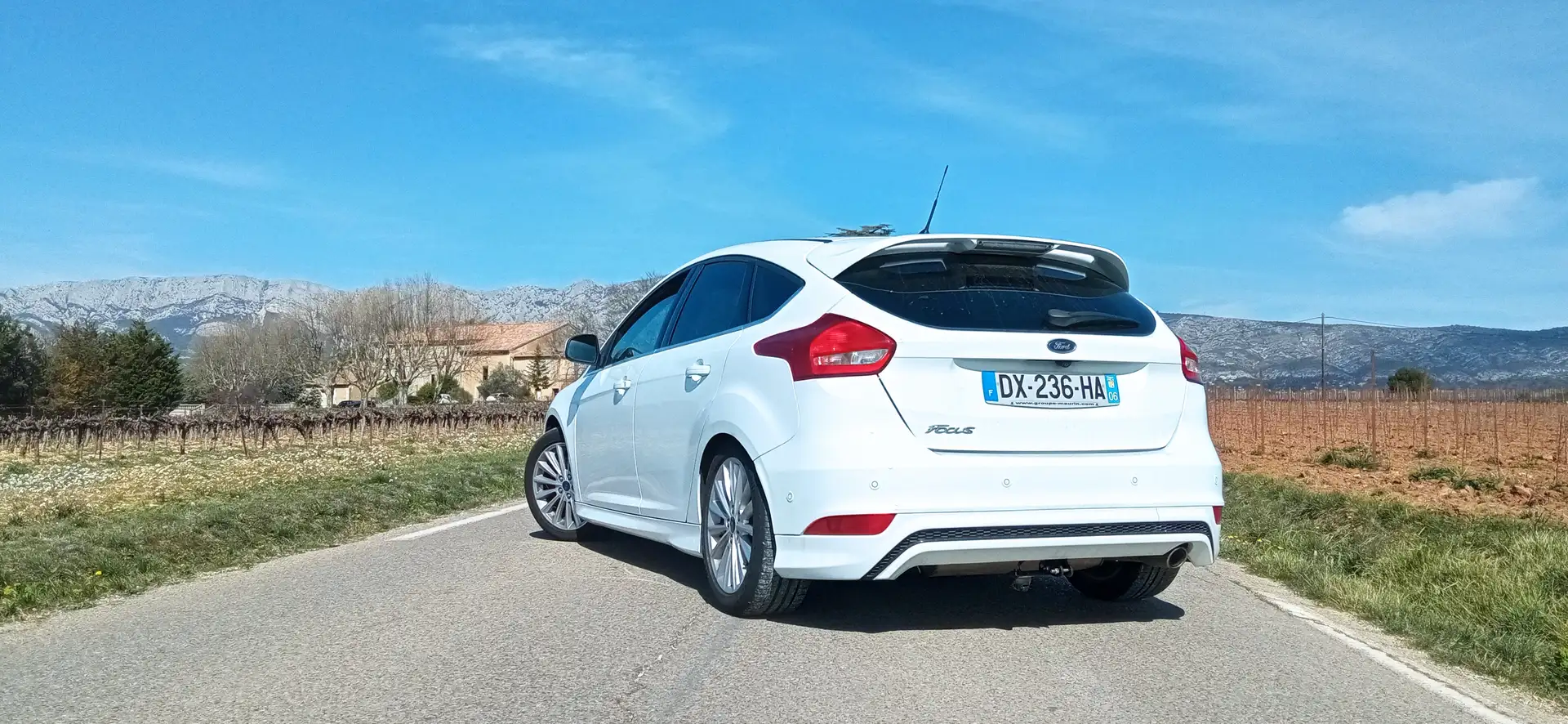 Ford Focus Focus 2.0 TDCi 150 S Blanc - 2