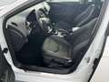 SEAT Leon FR 2.0 TDI Matrix 2xKlima KlimaA LED LM PDC Bianco - thumbnail 7