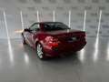 Mercedes-Benz SLK 320 EDICIÓN ESPECIAL Mauve - thumbnail 12