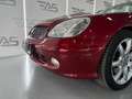Mercedes-Benz SLK 320 EDICIÓN ESPECIAL Mauve - thumbnail 16