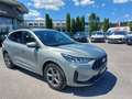 Ford Kuga 2,5 Duratec FHEV ST-Line Aut. Grau - thumbnail 7