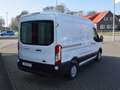 Ford Transit Trend L2H2 Weiß - thumbnail 4