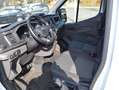 Ford Transit Trend L2H2 Weiß - thumbnail 6