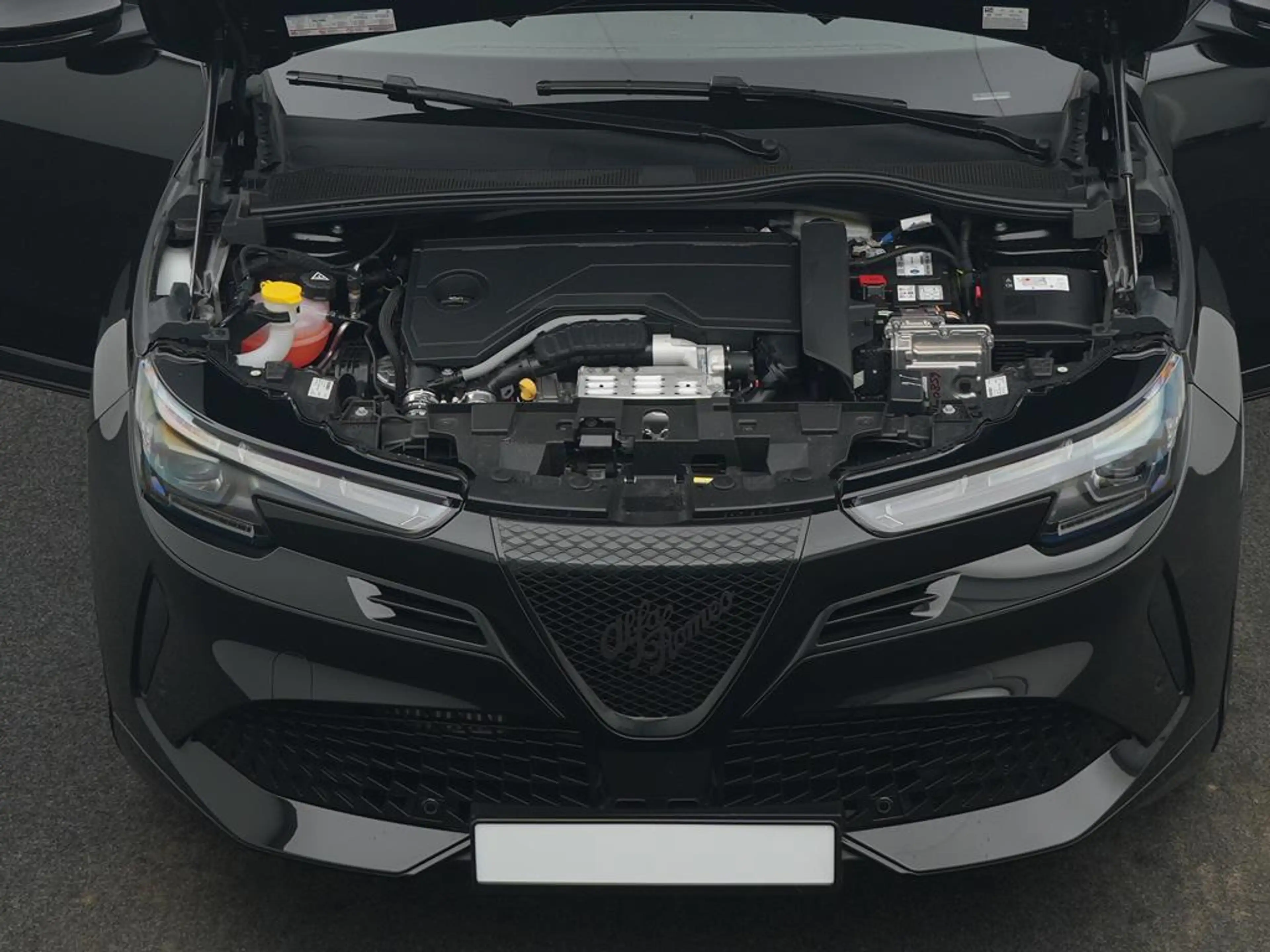 Alfa Romeo Junior Ibrida 1.2  Ti Q4 + Technologie Paket + PanoDach — photo 6