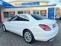 Mercedes-Benz C 220 d Autom. Exclusive Sport*LED*CAM*PANORAMA* Weiß - thumbnail 18