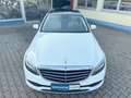 Mercedes-Benz C 220 d Autom. Exclusive Sport*LED*CAM*PANORAMA* Weiß - thumbnail 9