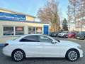 Mercedes-Benz C 220 d Autom. Exclusive Sport*LED*CAM*PANORAMA* Weiß - thumbnail 13