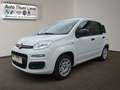 Fiat Panda Panda Serie 3 E6D 1,2 Fire 70 Easy Weiß - thumbnail 4