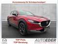 Mazda CX-30 e-Skyactive X186 Homura Aut. Rot - thumbnail 1