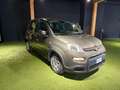 Fiat Panda Panda III 2021 1.0 firefly hybrid (prezzo reale) Grigio - thumbnail 2