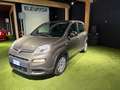 Fiat Panda Panda III 2021 1.0 firefly hybrid (prezzo reale) Grigio - thumbnail 3