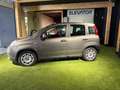 Fiat Panda Panda III 2021 1.0 firefly hybrid (prezzo reale) Grigio - thumbnail 4