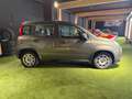 Fiat Panda Panda III 2021 1.0 firefly hybrid (prezzo reale) Grigio - thumbnail 7