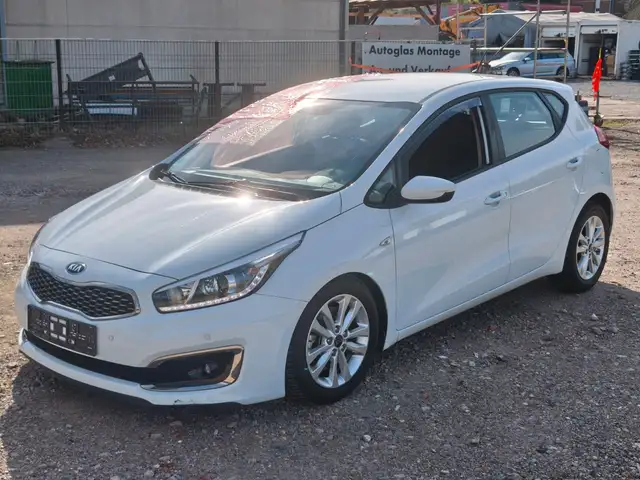 Kia Ceed Edition 7 1.4 Klima Allwetter SHZ