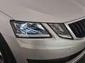 Skoda Octavia wagon 2.0 tdi scout 4x4 150cv dsg my18 Grigio - thumbnail 13