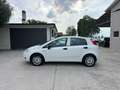 Fiat Grande Punto 1.2 65cv 5p. Neopatentati Bianco - thumbnail 2