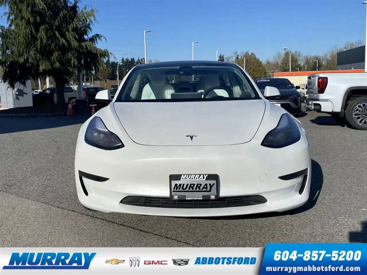 Tesla Model 3 снимка Tesla Model 3