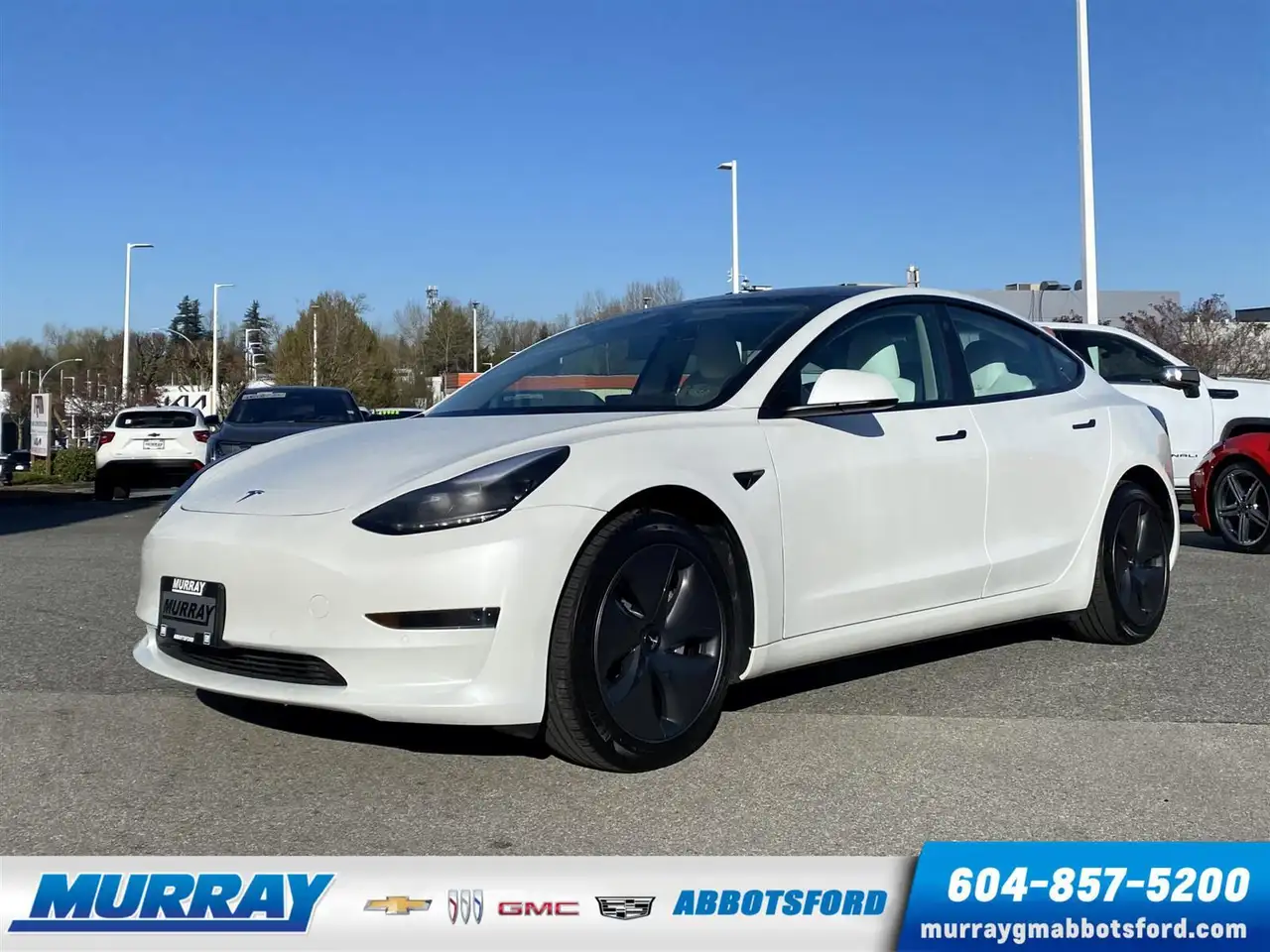 Tesla Model 3 снимка Tesla Model 3