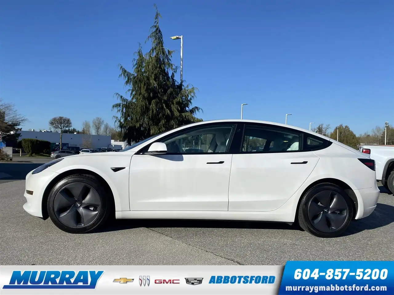 Tesla Model 3 снимка Tesla Model 3
