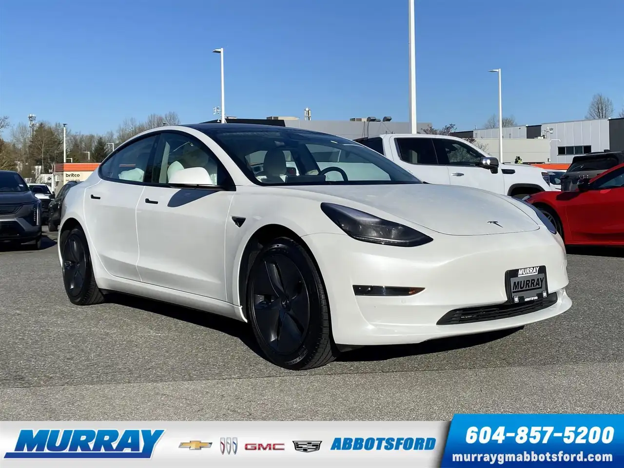 Tesla Model 3 снимка Tesla Model 3