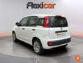 Fiat Panda City Cross 1.0 Gse 51kw (70CV) Blanco - thumbnail 5