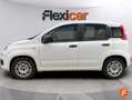 Fiat Panda City Cross 1.0 Gse 51kw (70CV) Blanco - thumbnail 7