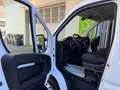 Fiat Ducato 2.3 MJT L1-H1 PC-TN GARANZIA 24 MESI 3POSTI DAB Blanc - thumbnail 6