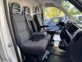Fiat Ducato 2.3 MJT L1-H1 PC-TN GARANZIA 24 MESI 3POSTI DAB Blanc - thumbnail 9