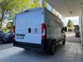 Fiat Ducato 2.3 MJT L1-H1 PC-TN GARANZIA 24 MESI 3POSTI DAB Blanc - thumbnail 3