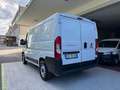 Fiat Ducato 2.3 MJT L1-H1 PC-TN GARANZIA 24 MESI 3POSTI DAB Blanc - thumbnail 2
