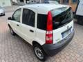 Fiat Panda Panda VAN 1.2 4x4 Weiß - thumbnail 9