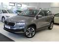 Skoda Karoq Selection 1.5 TSI 110 kW 7-Gang Automatik*LED*Appl Grau - thumbnail 1