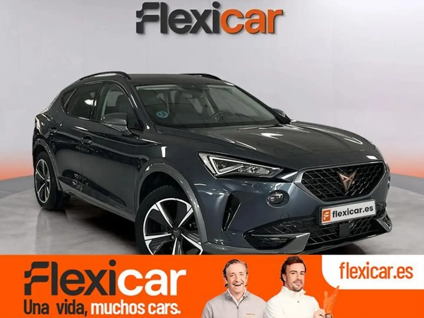 CUPRA Formentor 2.0 TDI 150 Gris - 1