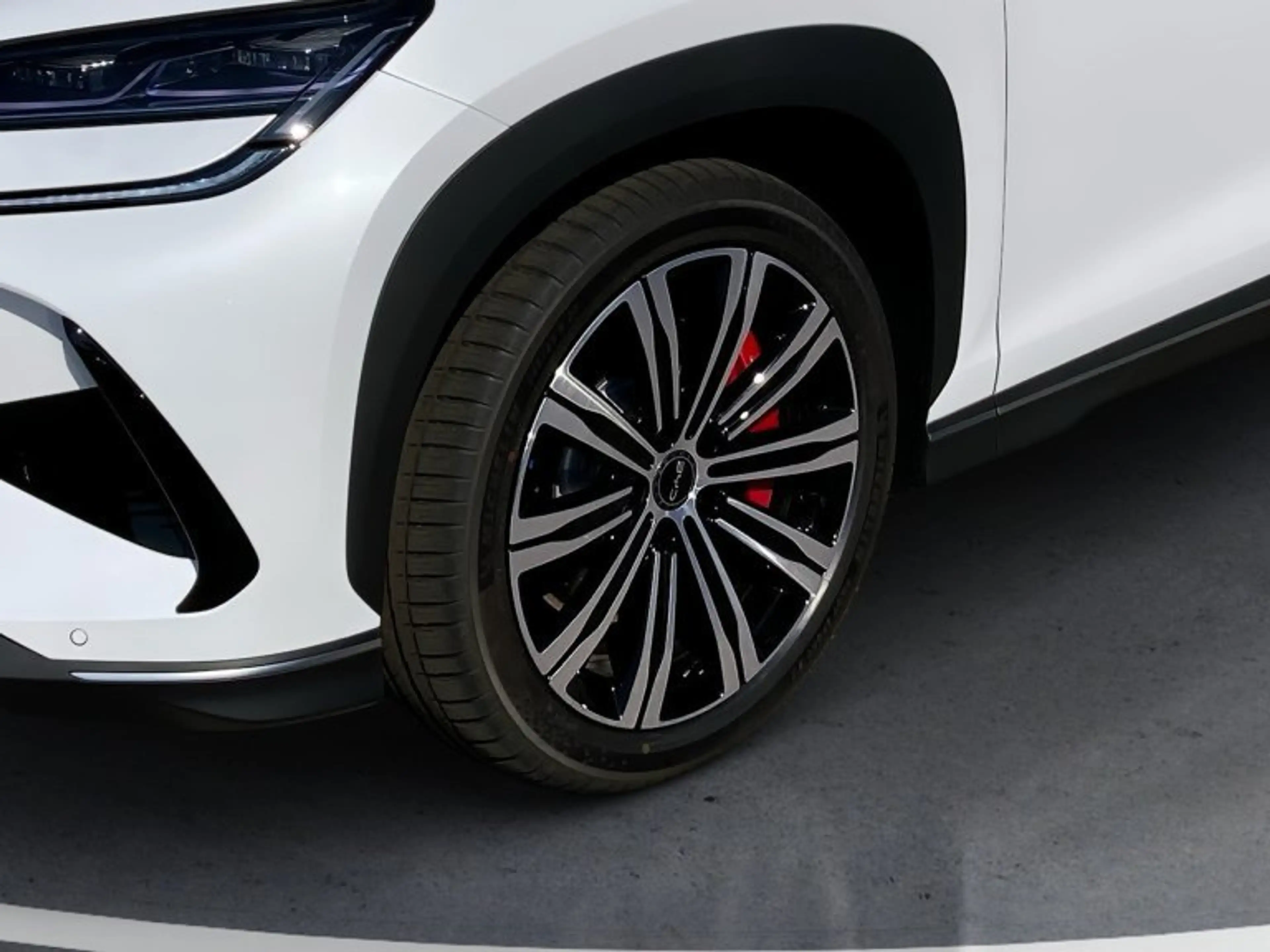 BYD Sealion 7 Excellence AWD — photo 8