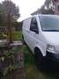 Volkswagen Bus T5 1,9 mit 131 Ps bijela - thumbnail 9