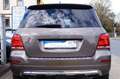 Mercedes-Benz GLK 250 CDI BlueTec 4Matic 7G-Tronic Sportpaket Gris - thumbnail 7