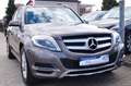 Mercedes-Benz GLK 250 CDI BlueTec 4Matic 7G-Tronic Sportpaket Gris - thumbnail 3