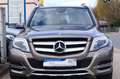 Mercedes-Benz GLK 250 CDI BlueTec 4Matic 7G-Tronic Sportpaket Gris - thumbnail 2