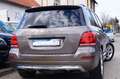 Mercedes-Benz GLK 250 CDI BlueTec 4Matic 7G-Tronic Sportpaket Gris - thumbnail 8